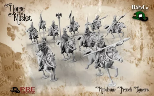 Napoleonic French Old Guard