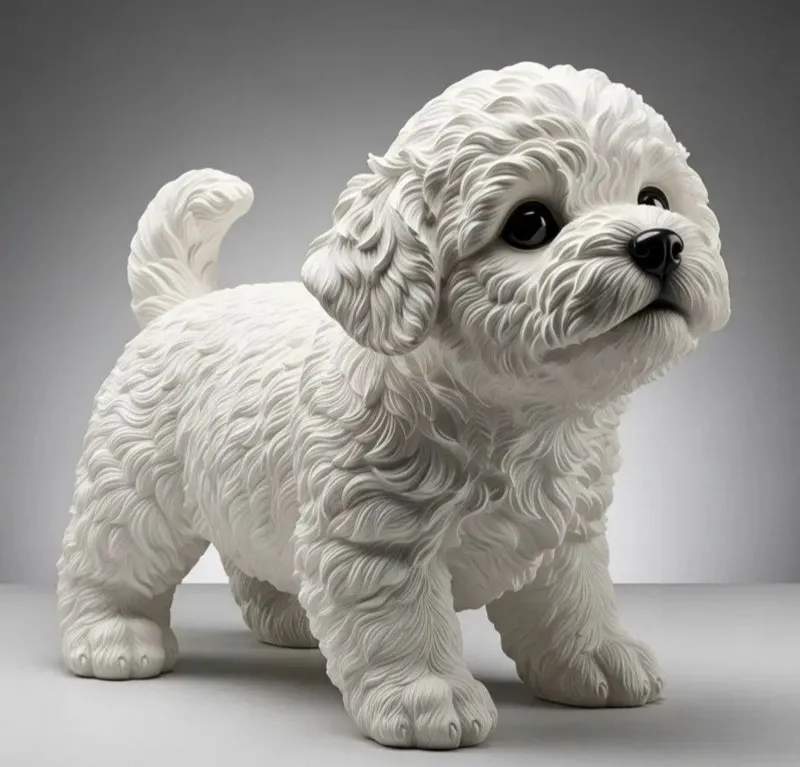 Puppy Bichon Frise