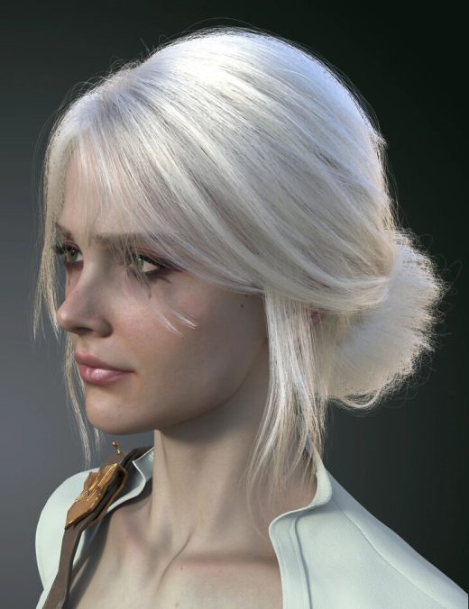 DForce Strand Based FE Messy Updo Hair for Genesis 9,8 and 8.1