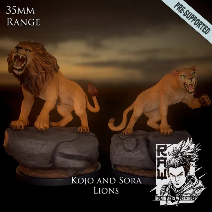 Kojo and sora lions