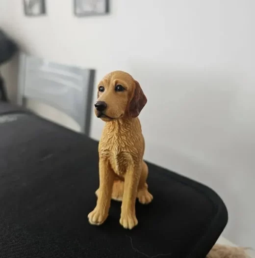 Labradoodle model files