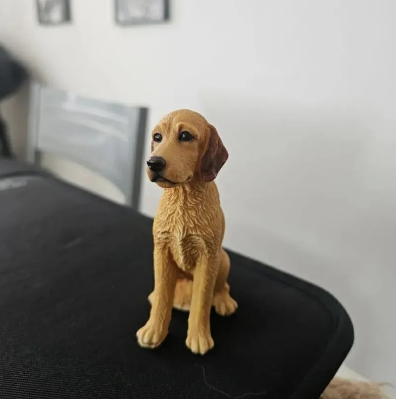 Labradoodle model files