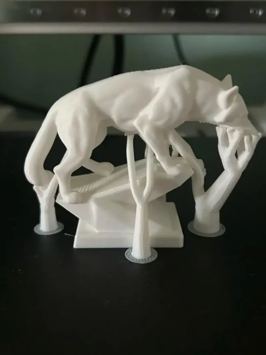 Wolf