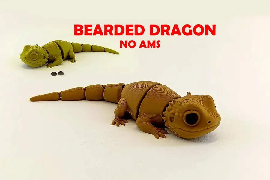 Bearded Dragon