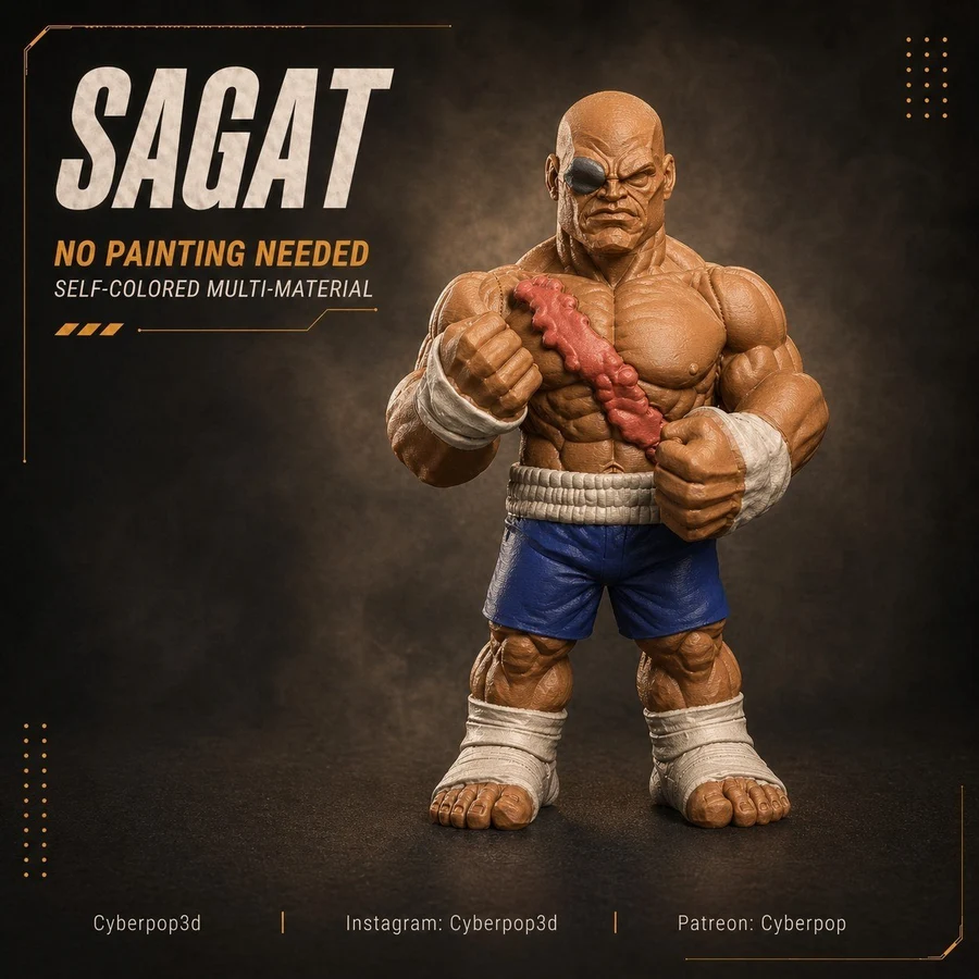 CYBERPOP3D SAGAT buildplate