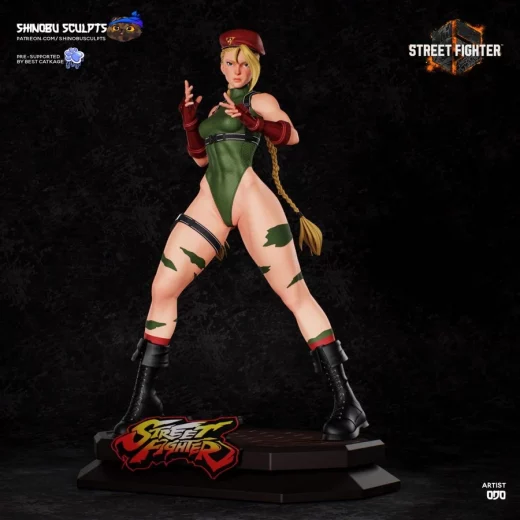 Cammy Street Fighter