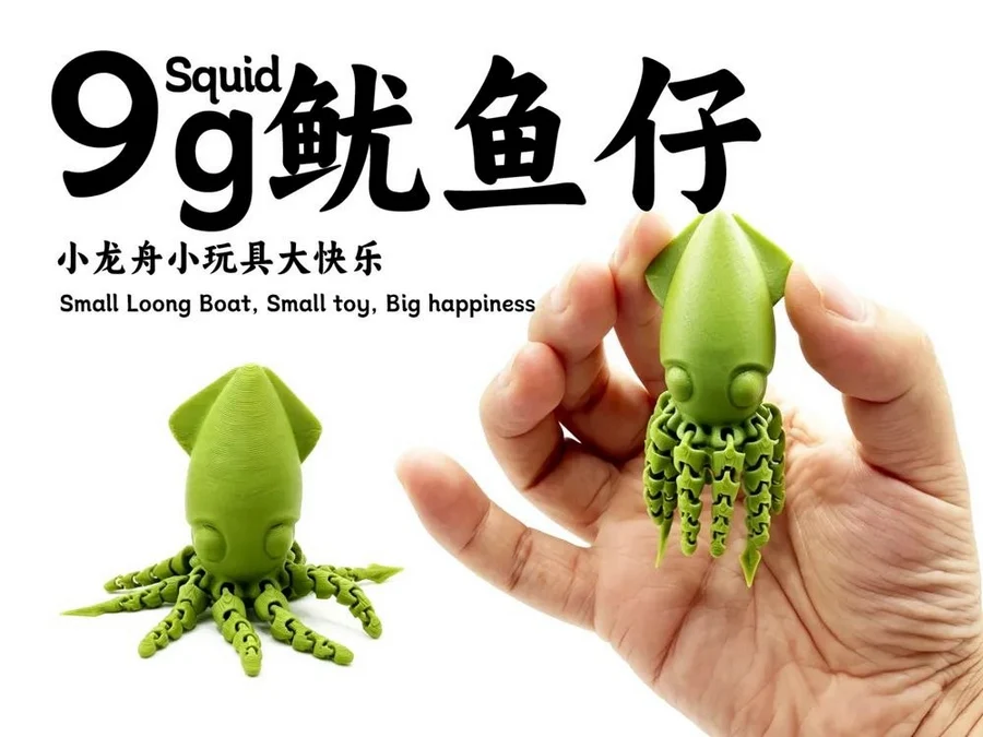 Squid