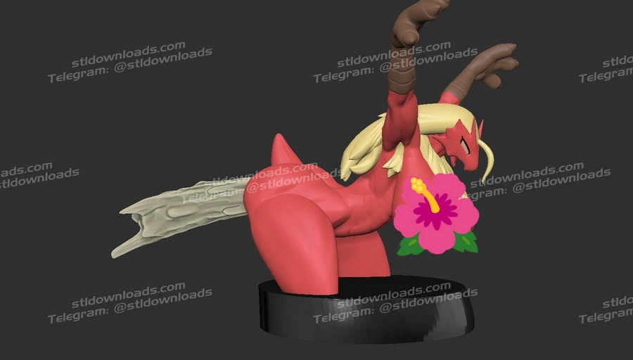 Tojyo SNK's Blaziken