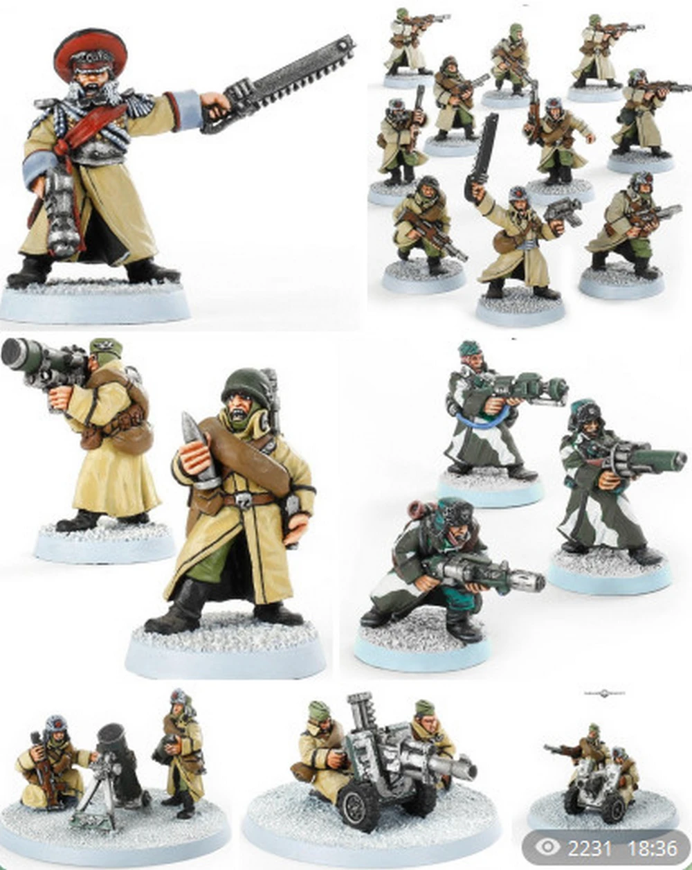 Valhallan Ice Warriors