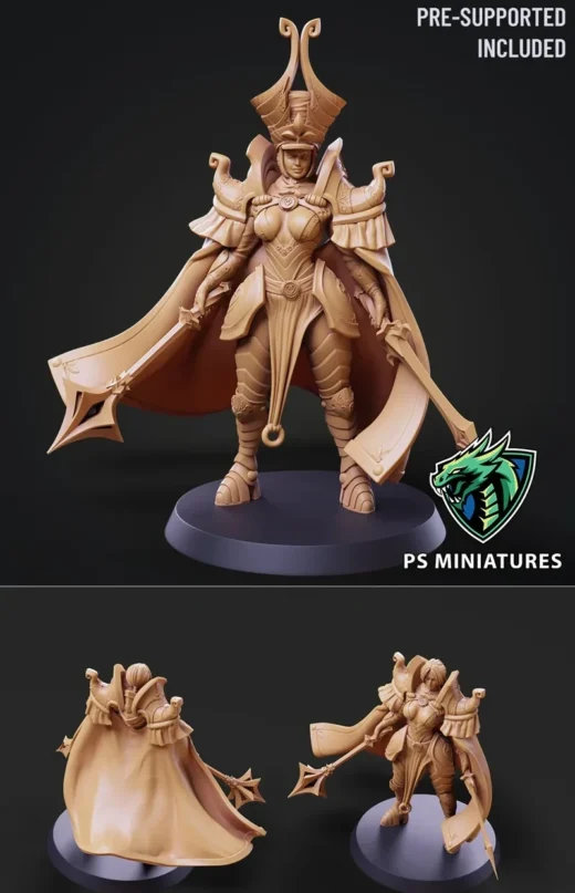 PSMiniatures Sanctum Guardian Pose 1 2 Variants and Pinup