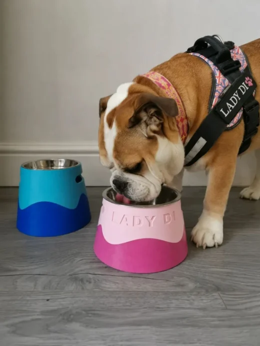 Parametric+Pet+Bowl (1)