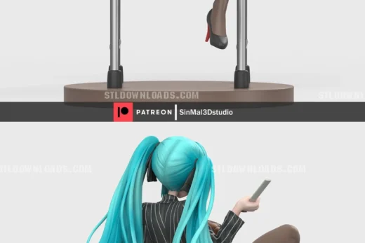 Sin3Dstudio Privaty sharp lesson