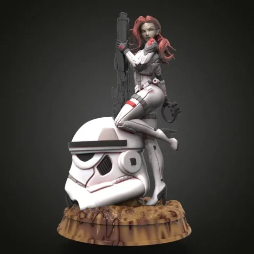 Star Wars Pin Up Stormtrooper RW 342 Anime 3D Max