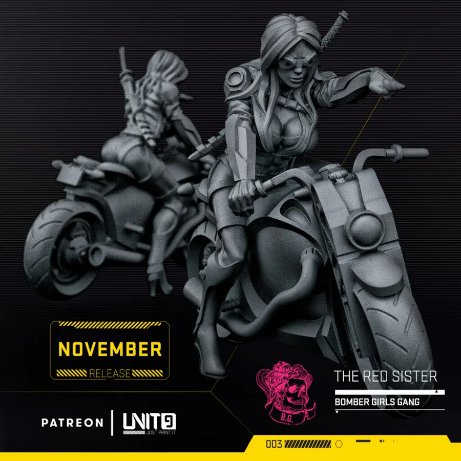 Unit 9 The Red Sister on Motorcycle