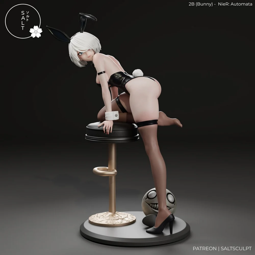 2b maid salt