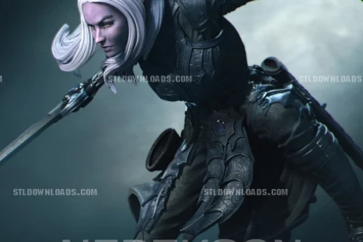 Nerikson – Lierin The Drow Fighter – 3D Print Model STL