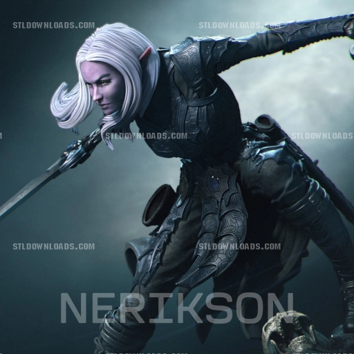 Nerikson – Lierin The Drow Fighter – 3D Print Model STL