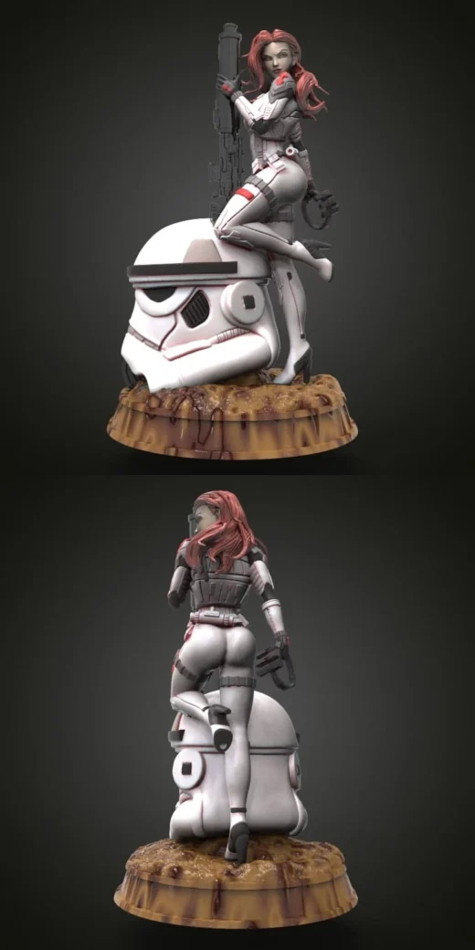 Star Wars Pin Up Stormtrooper RW
