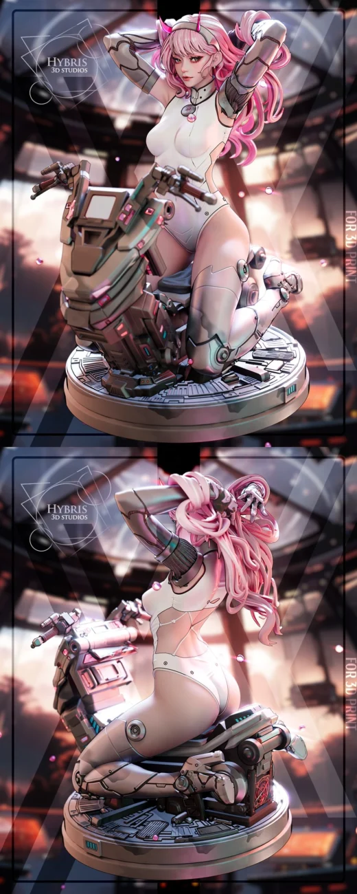 Hybris Studio Cyber Zero Two