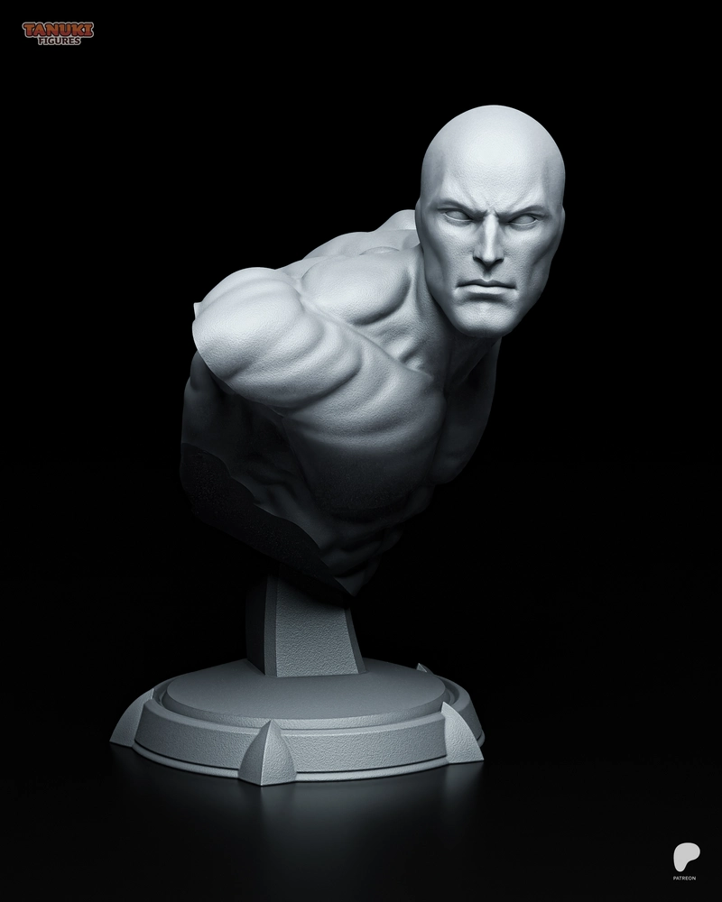 Silver Surfer Bust — Marvel 3D model